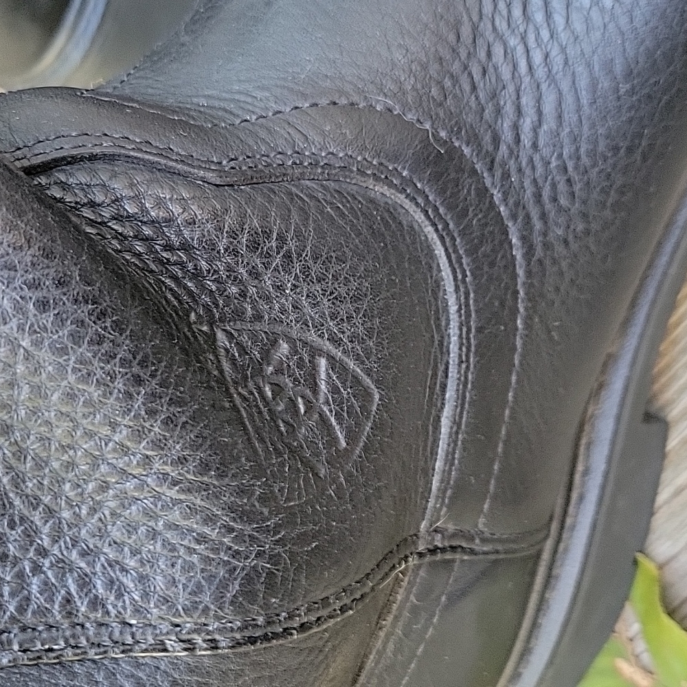Ariat Sierra Work Boot - Picture 4 of 16